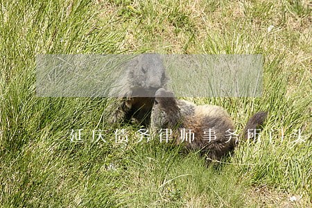 延庆债务律师事务所门头沟 延庆债务律师事务所门头沟
