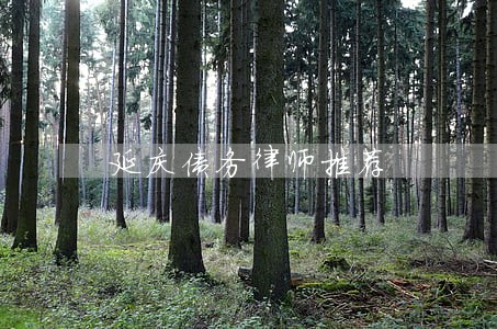 延庆债务律师推荐 延庆债务律师推荐