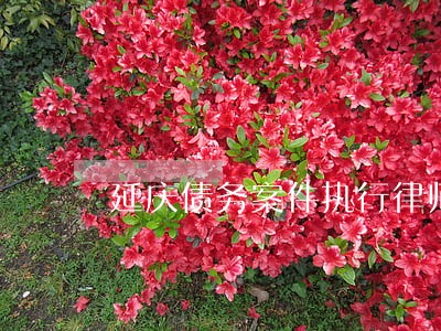 延庆债务案件执行律师电话咨询 延庆债务案件执行律师电话咨询