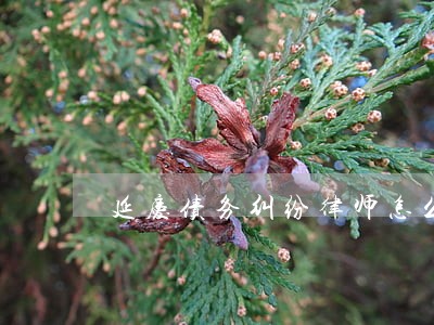 延庆债务纠纷律师怎么选择门头沟 延庆债务纠纷律师怎么选择门头沟