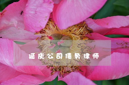 延庆公司债务律师 延庆公司债务律师