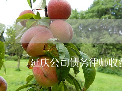 延庆公司债务律师收费 延庆公司债务律师收费