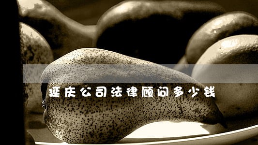 延庆公司法律顾问多少钱 延庆公司法律顾问多少钱