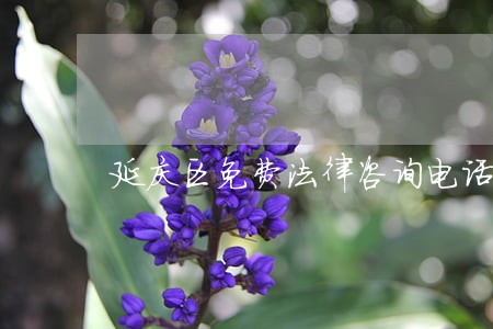 延庆区免费法律咨询电话 延庆区免费法律咨询电话