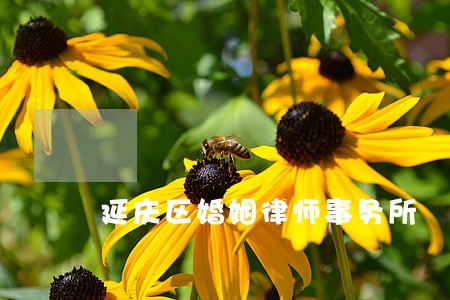 延庆区婚姻律师事务所 延庆区婚姻律师事务所
