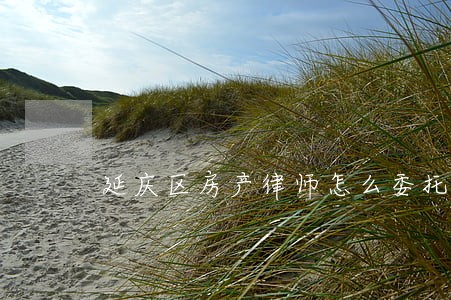 延庆区房产律师怎么委托 延庆区房产律师怎么委托