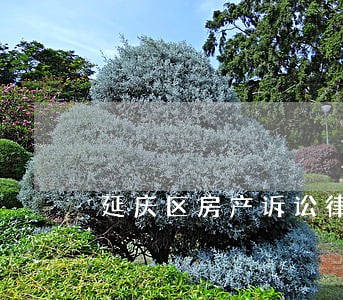 延庆区房产诉讼律师推荐 延庆区房产诉讼律师推荐