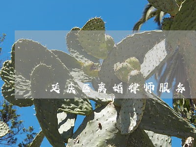 延庆区离婚律师服务 延庆区离婚律师服务