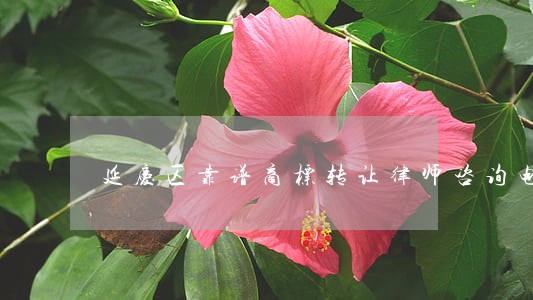 延庆区靠谱商标转让律师咨询电话 延庆区靠谱商标转让律师咨询电话