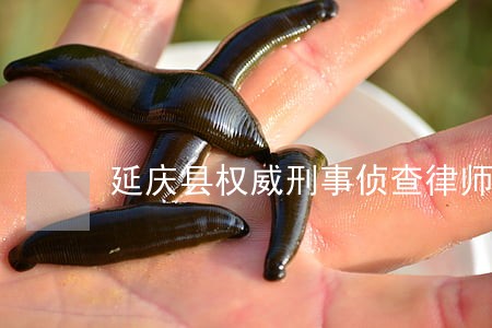 延庆县权威刑事侦查律师事务所