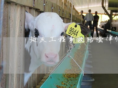 延庆工程事故赔偿律师咨询热线 延庆工程事故赔偿律师咨询热线