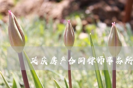 延庆房产合同律师事务所 延庆房产合同律师事务所