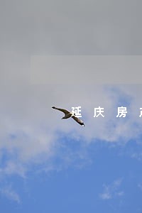 延庆房产建筑律师有哪些 延庆房产建筑律师有哪些
