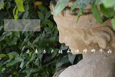 延庆房产继承律师哪个好 延庆房产继承律师哪个好
