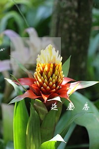 延庆房产继承诉讼律师 延庆房产继承诉讼律师
