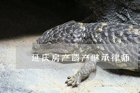 延庆房产遗产继承律师 延庆房产遗产继承律师