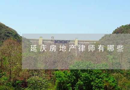 延庆房地产律师有哪些