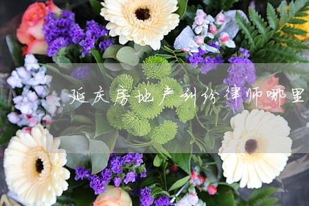 延庆房地产纠纷律师哪里找 延庆房地产纠纷律师哪里找