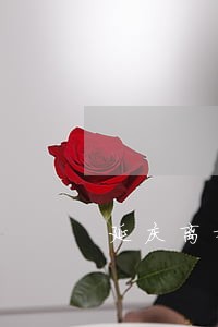 延庆离婚债务律师代理费 延庆离婚债务律师代理费
