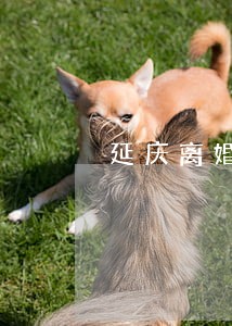 延庆离婚债务律师收费标准