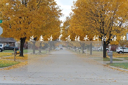 延庆请遗嘱继承纠纷请律师