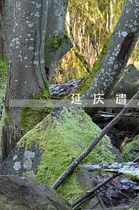 延庆遗产继承案件律师 延庆遗产继承案件律师