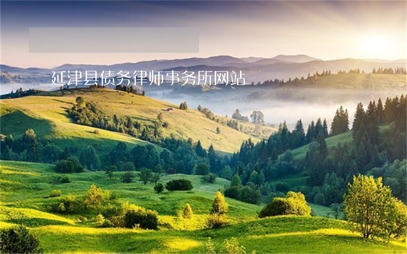 延津县债务律师事务所网站 延津县债务律师事务所网站