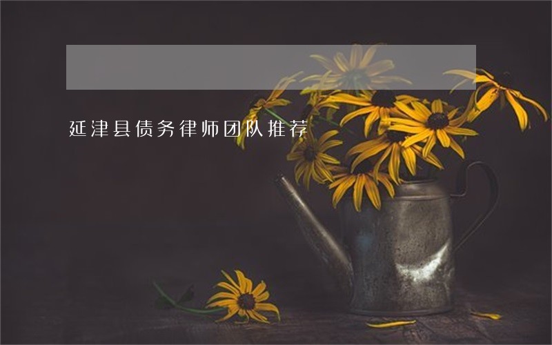 延津县债务律师团队推荐