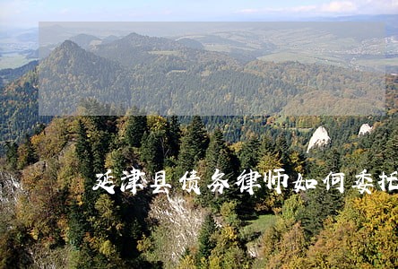 延津县债务律师如何委托 延津县债务律师如何委托