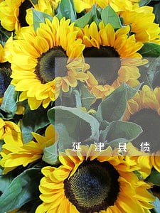 延津县债务风险代理律师地址 延津县债务风险代理律师地址