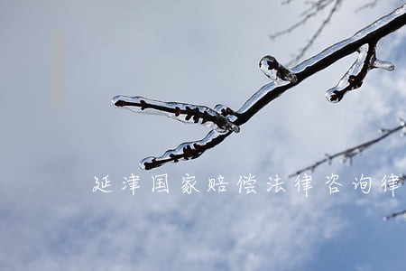 延津国家赔偿法律咨询律师 延津国家赔偿法律咨询律师
