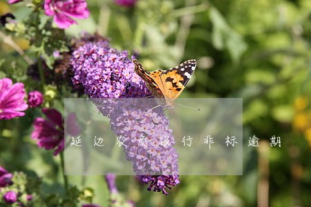 延边农商银行非标逾期 延边农商银行非标逾期