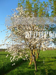 延边律师亓 延边律师亓