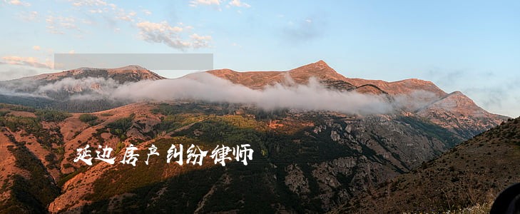 延边房产纠纷律师 延边房产纠纷律师