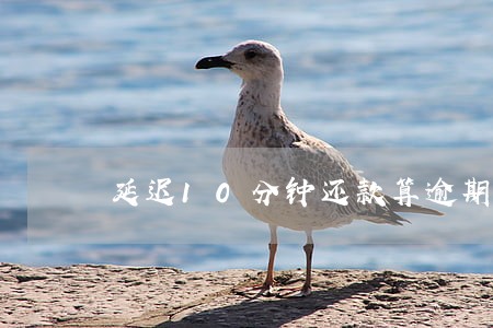 延迟10分钟还款算逾期吗 延迟10分钟还款算逾期吗