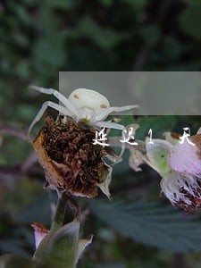 延迟1天还信用卡会显示逾期 延迟1天还信用卡会显示逾期