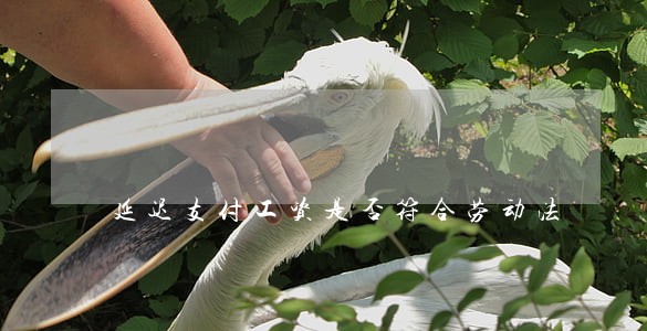 延迟支付工资是否符合劳动法
