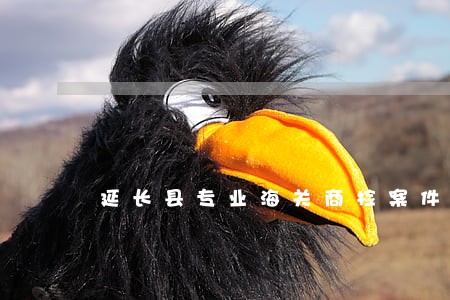 延长县专业海关商检案件律师 延长县专业海关商检案件律师