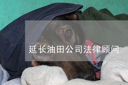 延长油田公司法律顾问 延长油田公司法律顾问