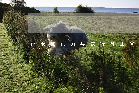 延长法官为县农行员工宣讲法律 延长法官为县农行员工宣讲法律