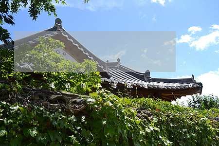 建信信托违法遭罚40万 建信信托违法遭罚40万
