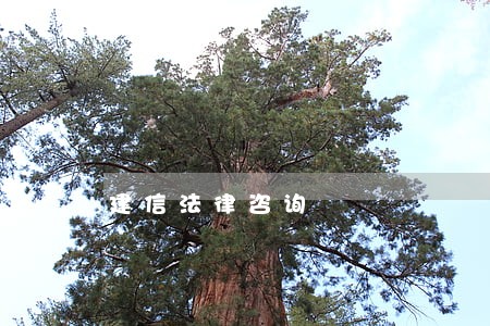建信法律咨询