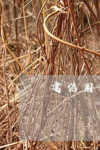 建信用卡的钱逾期还不上怎么办