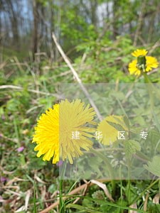 建华区专业侵犯隐私权律师 建华区专业侵犯隐私权律师