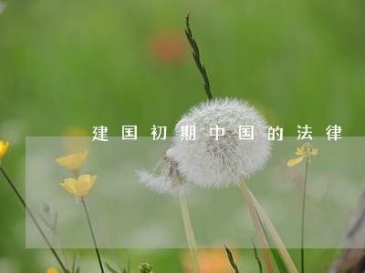 建国初期中国的法律 建国初期中国的法律