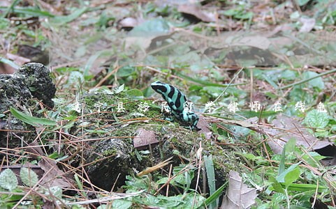 建宁县移民留学律师在线免费咨询 建宁县移民留学律师在线免费咨询