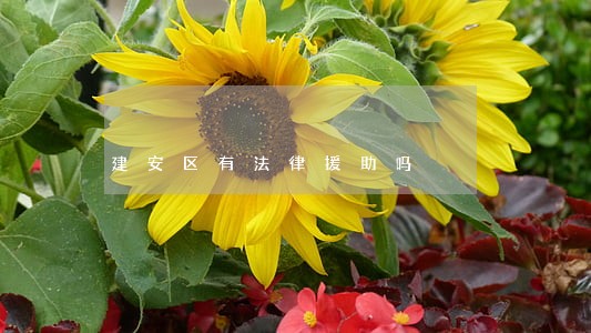 建安区有法律援助吗 建安区有法律援助吗