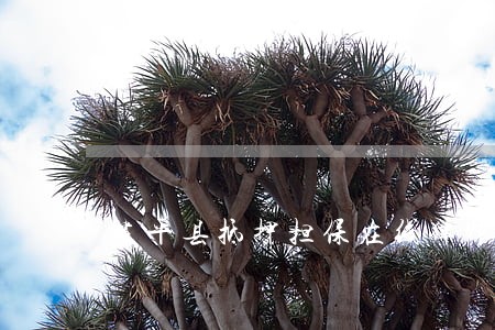 建平县抵押担保在线律师 建平县抵押担保在线律师