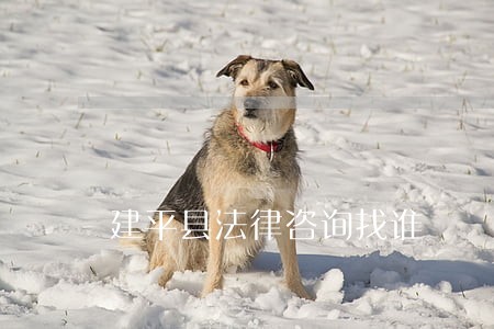 建平县法律咨询找谁 建平县法律咨询找谁