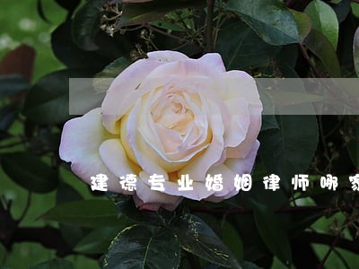 建德专业婚姻律师哪家好 建德专业婚姻律师哪家好